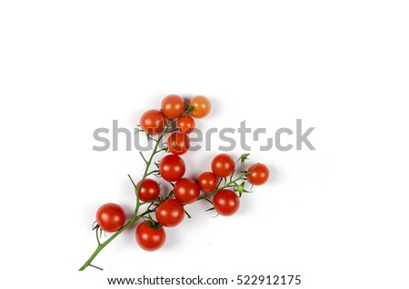 Similar – Foto Bild Eine kleine Tomatenpflanze mit einigen Blättern