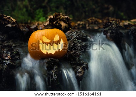 Close up carved pumpkin with creepy face jack o lantern on the brook with long exposure waterfalls. Halloween concept, copy space. Foto stock © 