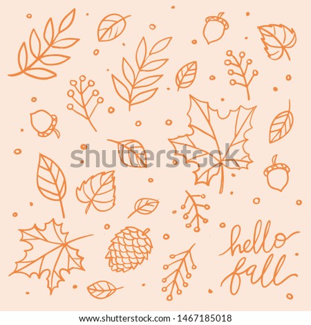 Hello fall isolated vector clip art lettering illustration. Autumn leaf line art doodle for print, poster, greeting card, design element, social media