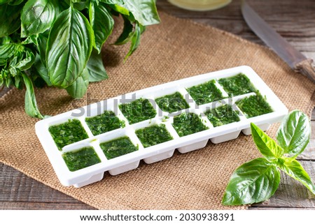 Frozen basil leaves (basilius) in ice cubes with fresh basil on a table. Frozen Herbs. Frozen food concept
