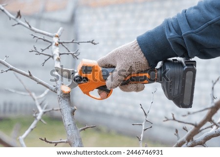 Similar – Image, Stock Photo Cutting trees using an electrical chainsaw in the forest.