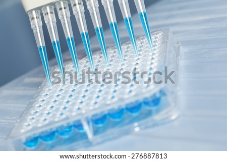 Sample being loaded into well plate for analysis in lab