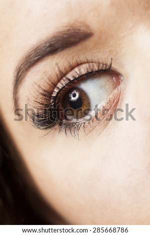 Close up of a young woman\'s eye, wearing long fake eyelashes