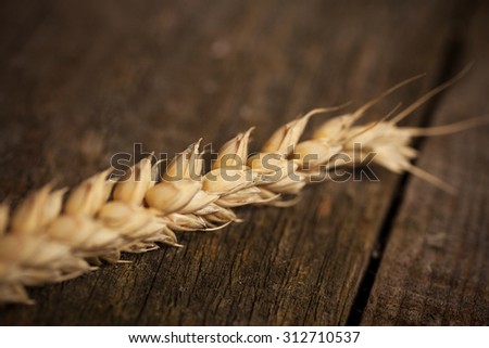 Close up of a Wheat sheaf on a textured wooden background