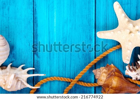 Summer theme blue background with space for advertising and maritime theme (seashells, starfish, sea knots, anchor)
