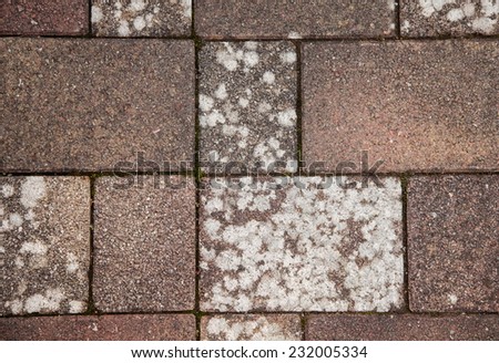 Pavement with mold on the rocks. Not treated preparations
