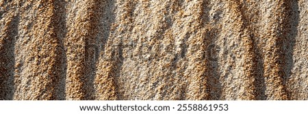 Similar – Foto Bild Gewellte Oberfläche von trockenem Sand