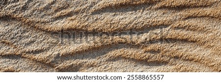 Similar – Foto Bild Gewellte Oberfläche von trockenem Sand