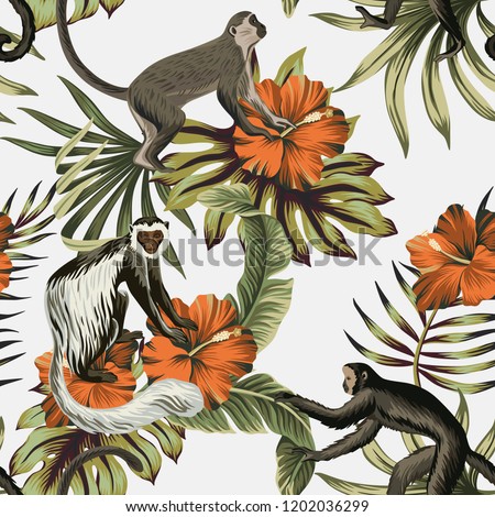 Tropical Vintage