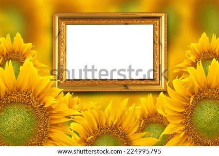 gold frame with sunflower