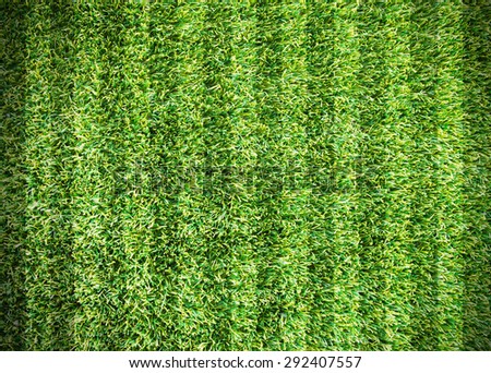 textured grass football , green natural grass of a soccer field