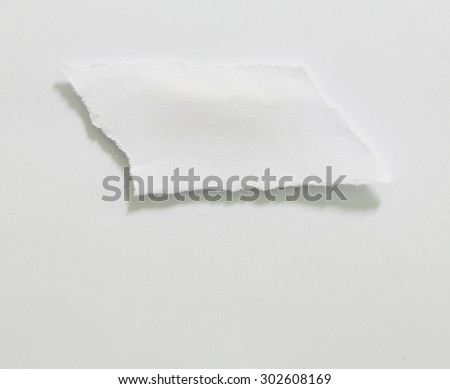 Ripped paper, Pieces of torn paper on plain background. Copy space