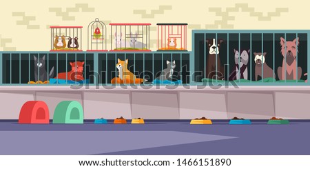 Animal shelter, pet shop flat vector illustration. Adoption center for stray and homeless pets. Cute cats, lonely dogs, guinea pigs, small hamster, bunnies and parrot in cages. Veterinary clinic