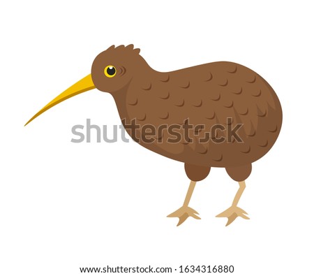 Cartoon brown small exotic kiwi bird with long beak isolated on white backdrop. Quirky flightless feathered character. Wildness and wildlife. Nature and rare animals. Vector flat illustration