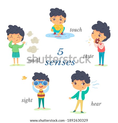 Boy showing five senses set. Sense of sight, touch, hear, smell, taste vector illustration. Small happy child in nature and exploring wonders of spring. Joyful education at childhood. Foto d'archivio © 