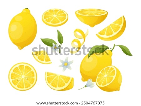 Fresh lemon fruit set. Vector set of whole and cut lemon with leaves, ripe yellow slices citrus, flowers. Organic food product for lemonade, juice, vitamin c, jam, package, web. Healthy vegan food