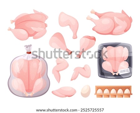 Chicken meat. Vector set of whole raw chicken in tray packing with wings, chicken drumsticks, breast halves fillets, eggs in box. Broiler turkey meat. Poultry package for supermarket, grocery market