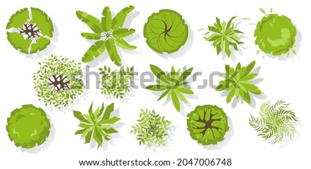 Trees and plants top view. Different colored  plants vector set for architectural and landscape design. Graphic, isolated on white. Vector illustration. Elements for design projects. Green spaces.