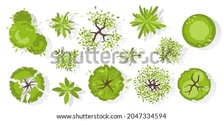 Trees top view for architectural and landscape design. Different colored plants and trees vector set. Graphic, isolated on white. Vector illustration. Elements for design projects. Green spaces.