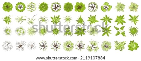 Trees and plants top view. Icon set of colored trees and grass for architectural and landscape design. Black and white graphic isolated on white. Vector illustration. Element for design project