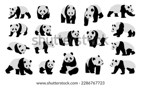 cute panda Vector illustration isolated on colorful Set of cute big pandas in different poses. flat vector illustration design