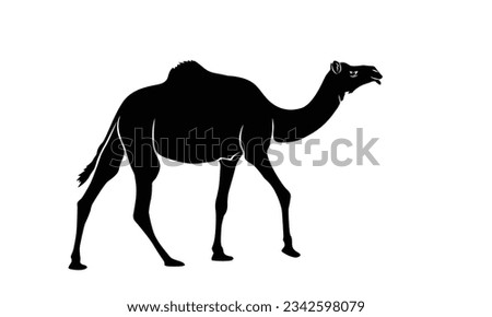 camel icon silhouette vector illustration. logos, emblems, badges. Isolated on white background.