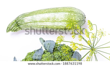 Similar – Foto Bild Winter-Dill-Saatkopf