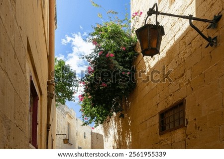 Similar – Image, Stock Photo Colorful Streets of Mdina, Malta