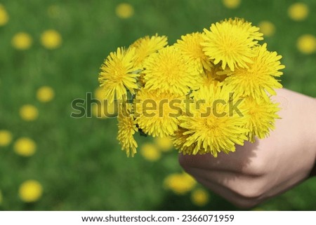 Image, Stock Photo beautiful dandelion flower in spring season