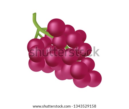 Ripe red grape. Red Grape vector. Ripe red grape isolated on white background, EPS 10, top view 