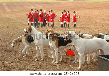 Doggery of hunting dogs and musicians with hunting horns.