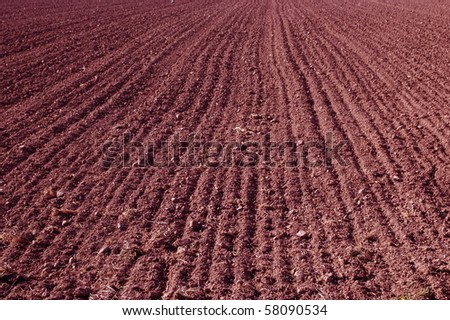 Plowed field in the spring. The path to the horizon.