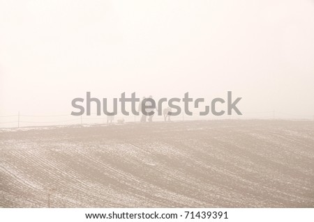 People and dogs walk through the fields in a heavy fog.