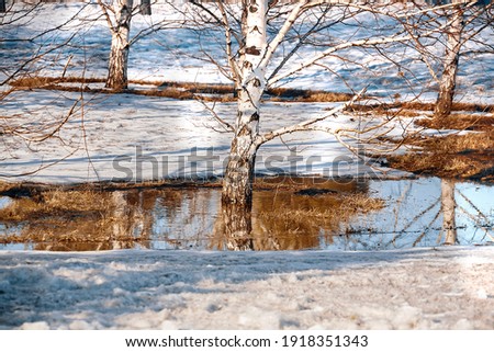 Similar – Foto Bild Frühling Schmelzen Fluss Überschwemmung Luftbild-Panorama. Überlaufwasser im Frühling