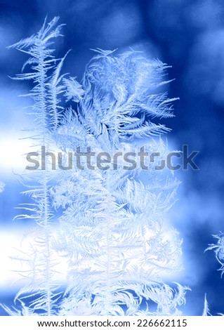 Frosty pattern on a winter window