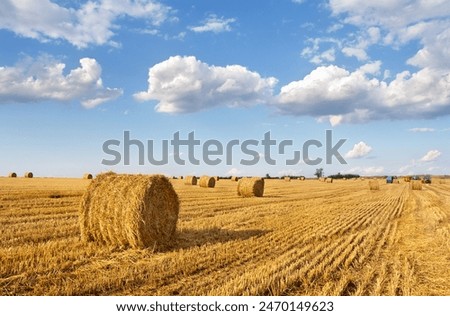 Similar – Image, Stock Photo Field with straw roll points