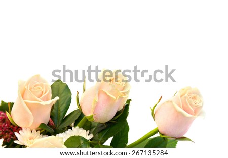 Cream roses and chrysanthemum on white background
