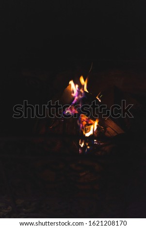 Helle lodernde Flamme eines Kaminfeuers an einem kalten Wintertag Stock foto © 