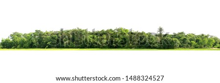 Similar – Image, Stock Photo green tree in front of red brick wall