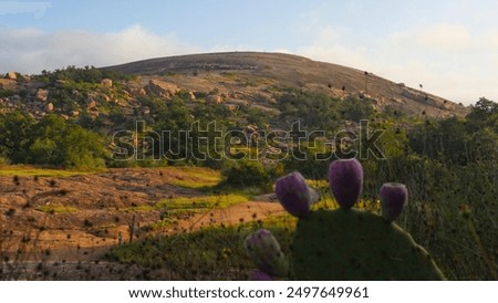 Similar – Image, Stock Photo Hill with grass near sea under cloudy sky