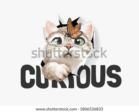 cute cat and butterfly in curious paper hole illustration