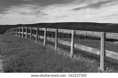 Fenceline in the Black Hills, South Dakota, USA