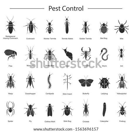 Bug of insect pest control vector black set icon.Vector illustration insect beetle. Isolated black icon pest of bug and fly beetle.