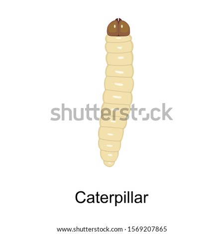 Caterpillar vector icon.Cartoon vector icon isolated on white background caterpillar.