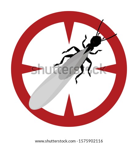 Alates termite vector icon.Cartoon vector icon isolated on white background alates termite .