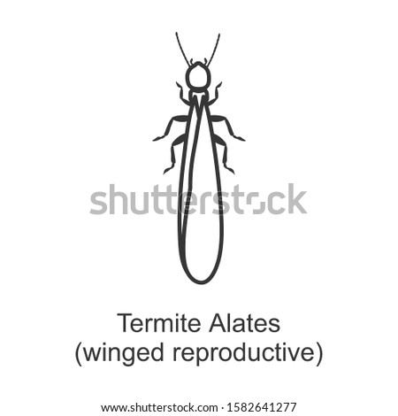 Alates termite vector icon.Line vector icon isolated on white background alates termite.