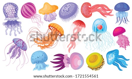 Clipart Blue Jellyfish Clker Png Pictures Jellyfish Clipart Stunning Free Transparent Png Clipart Images Free Download