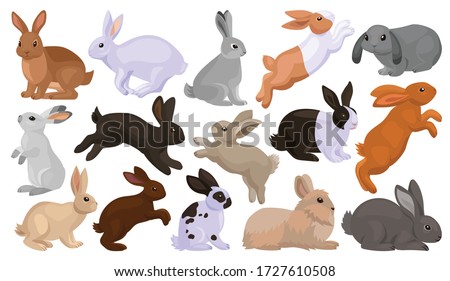 Rabbit vector cartoon set icon. Isolated cartoon set icon animal.Vector illustration rabbit on white background.