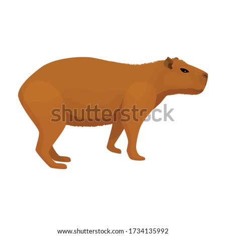 Frog Animal Silhouette Free Illustrations Capybara Clipart Stunning Free Transparent Png Clipart Images Free Download