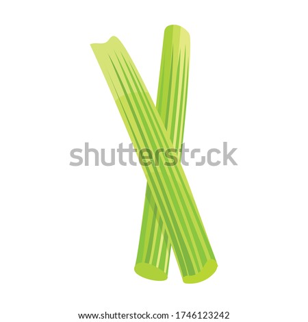 Stick of celery vector icon.Cartoon vector icon isolated on white background stick of celery.